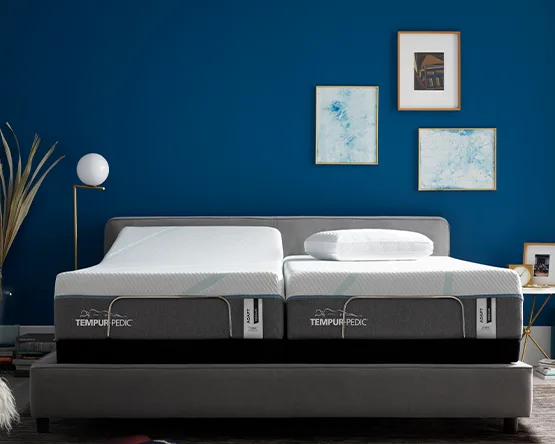 Ortho Mattress - Household products | United States