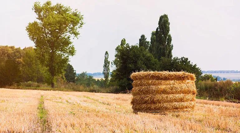 Alexandria Group - Agriculture products | United States