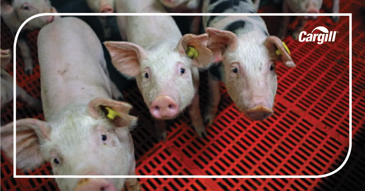 Cargill, Inc. - Agriculture products | United States