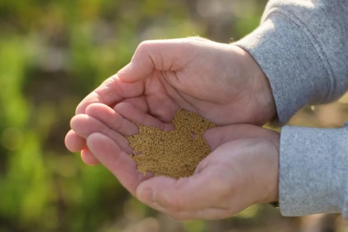 Bayer AG - Agriculture products | Germany