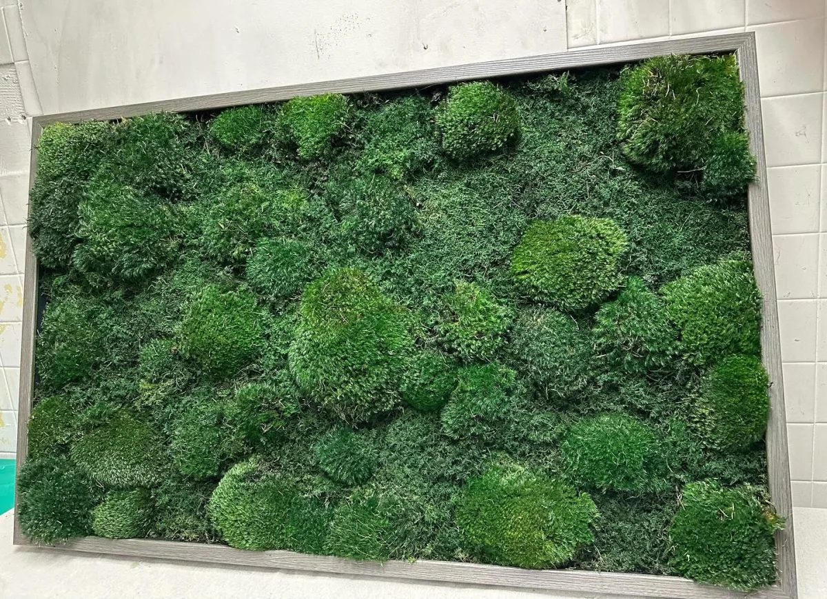 Moss Pure - Household products | United States