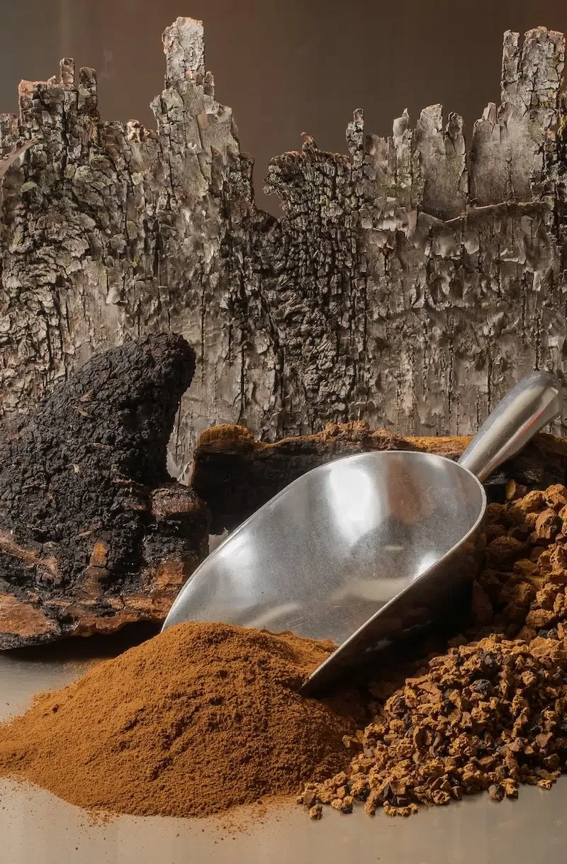 Chi Chaga Mushrooms - Foods & Beverages products | Canada