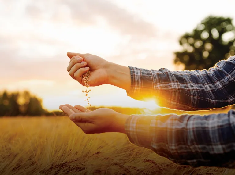 Nutrien Ltd - Agriculture products | Canada