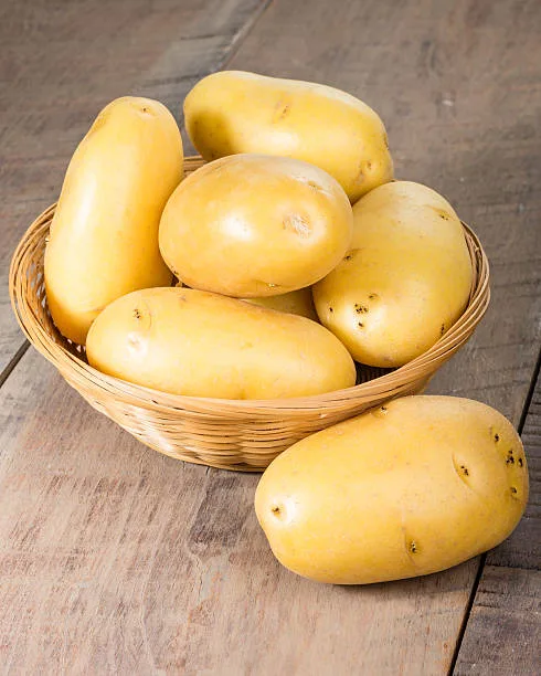 Netherlands Potato Suppliers - Agriculture products | Netherlands