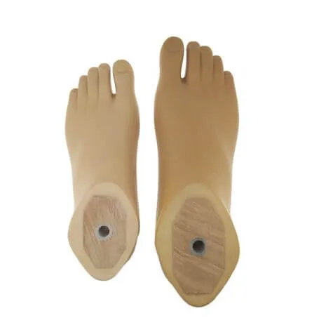 Shijiazhuang Perfect Prosthetic Manufacture Co., Ltd. - Health & Medical products | China