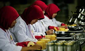 PT Great Giant Pineapple - Agriculture products | Indonesia