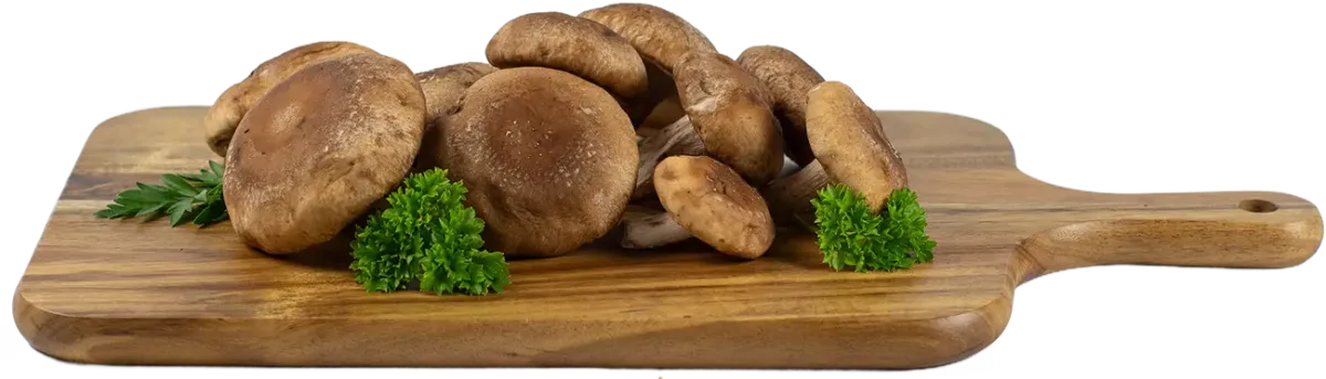 Farmers Fresh Mushrooms - Agriculture products | Canada