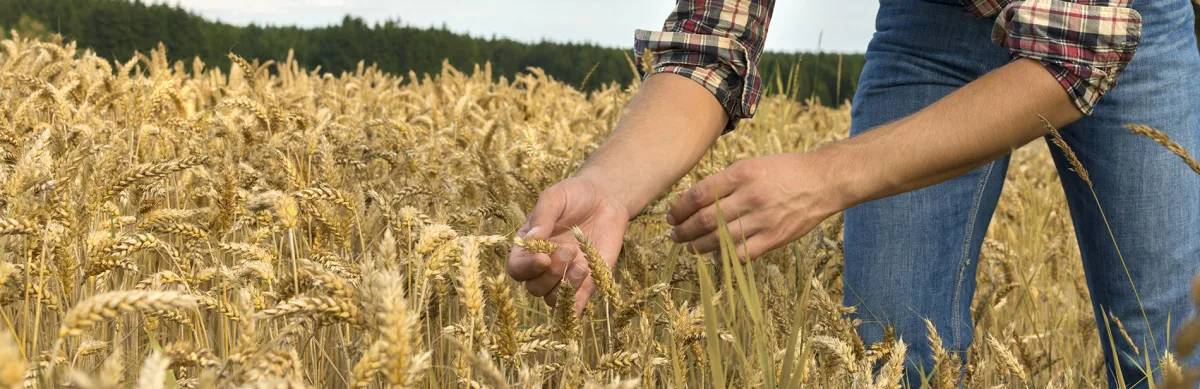 Midwestern BioAg - Agriculture products | United States