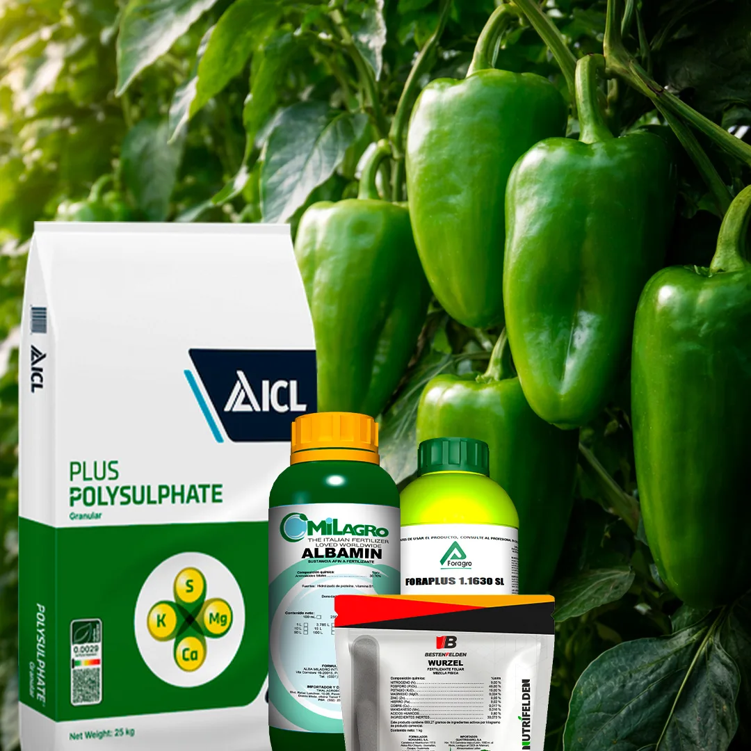 Foragro Company - Agriculture products | Guatemala
