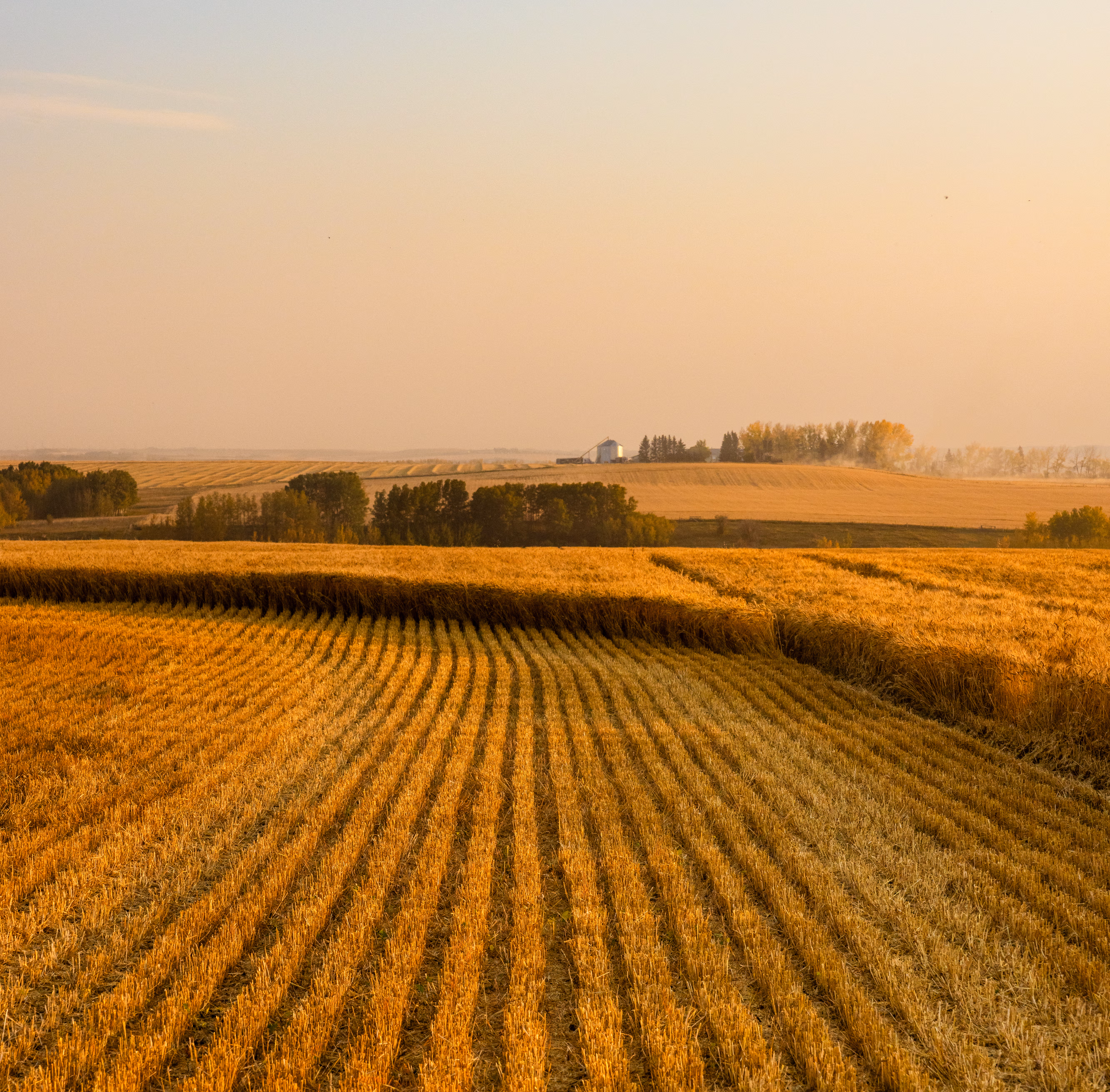 Nutrien Ltd - Agriculture products | Canada