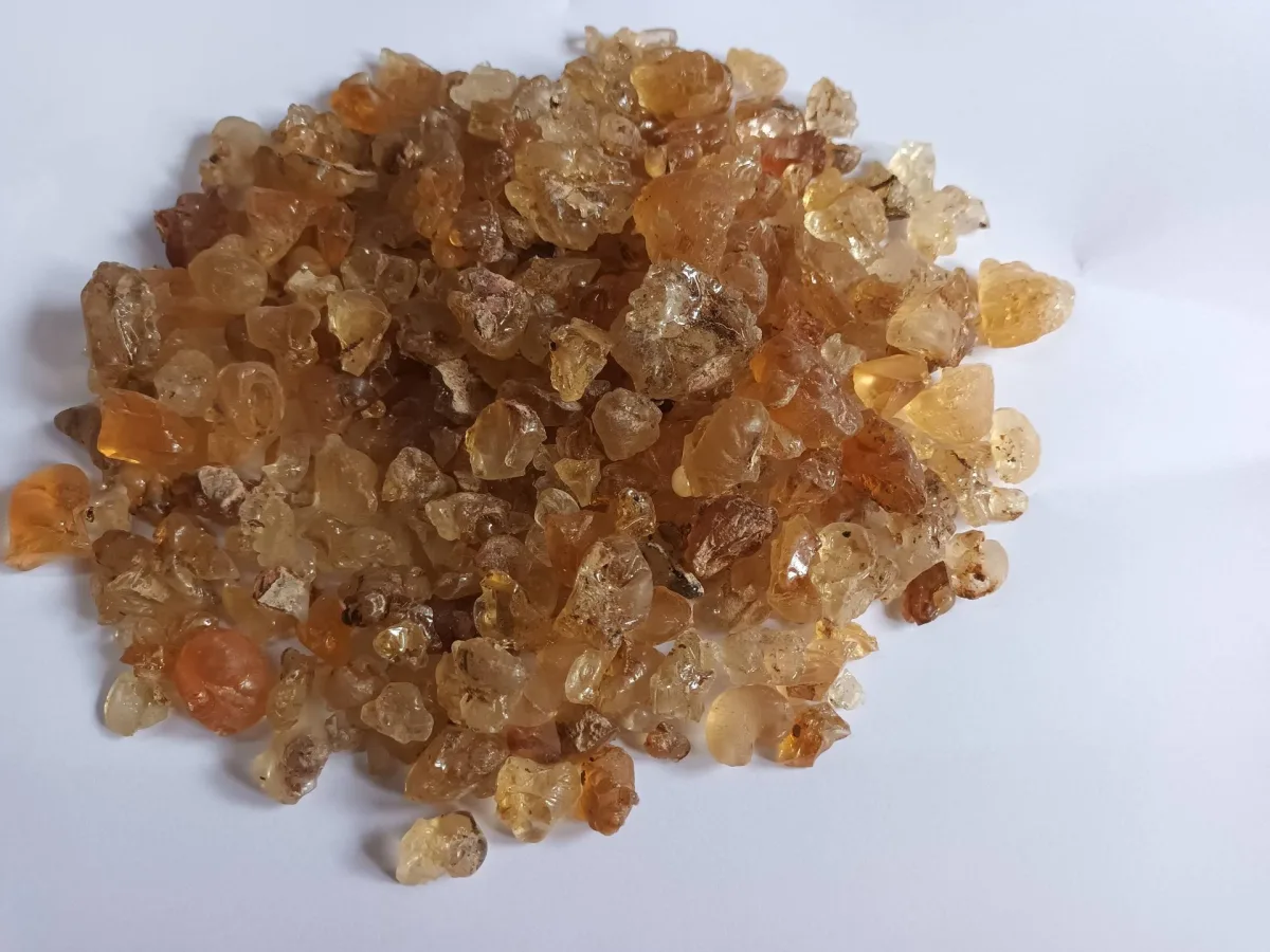 Kapadia Gum Industries Pvt. Ltd. - Foods & Beverages products | India