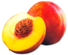 Atlantic Gulf Company - Agriculture products | Morocco
