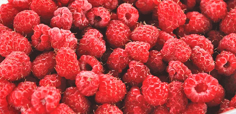 Biomac SRL - Foods & Beverages products | Argentina