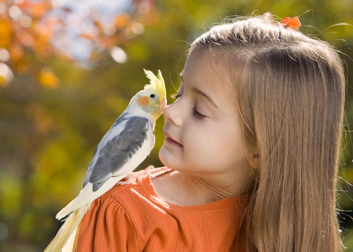 Flamingo Pet Products NV - Others & Miscellaneous products | Belgium