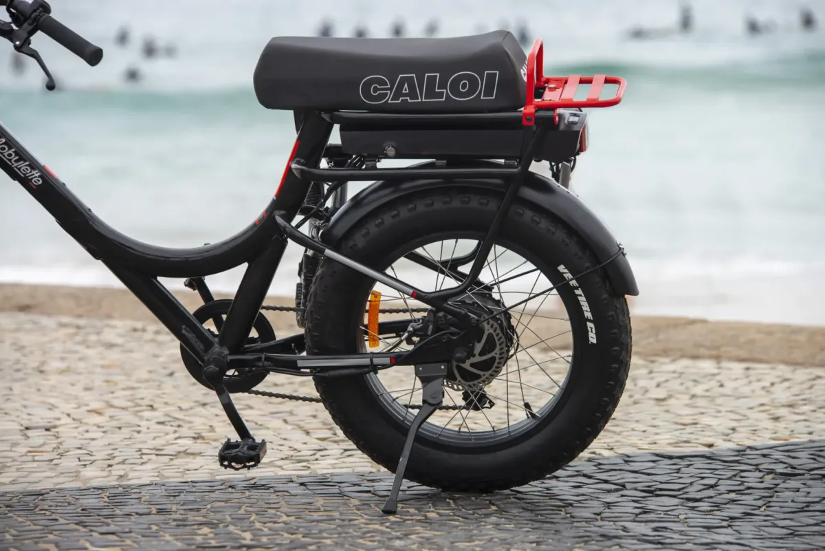 Caloi - Sports & Leisure products | Brazil