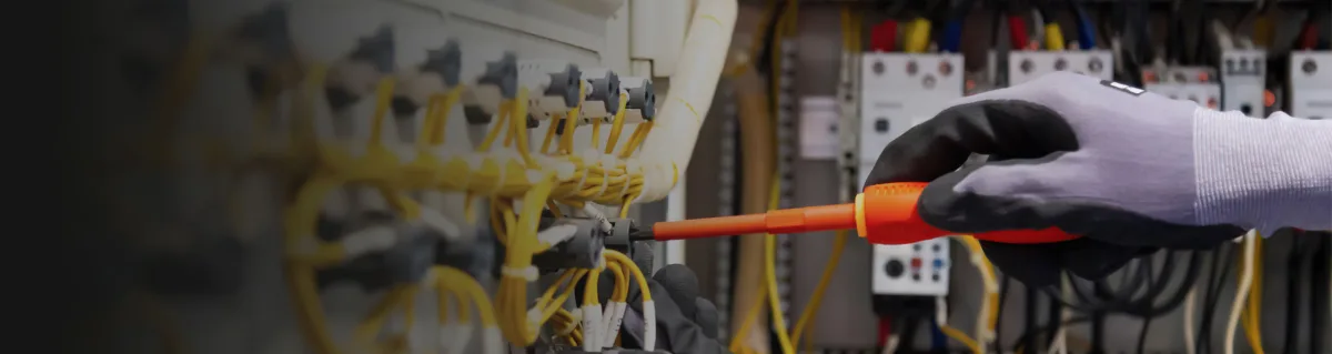 AEG Power Solutions B.V. - Energy & Minerals products | Netherlands