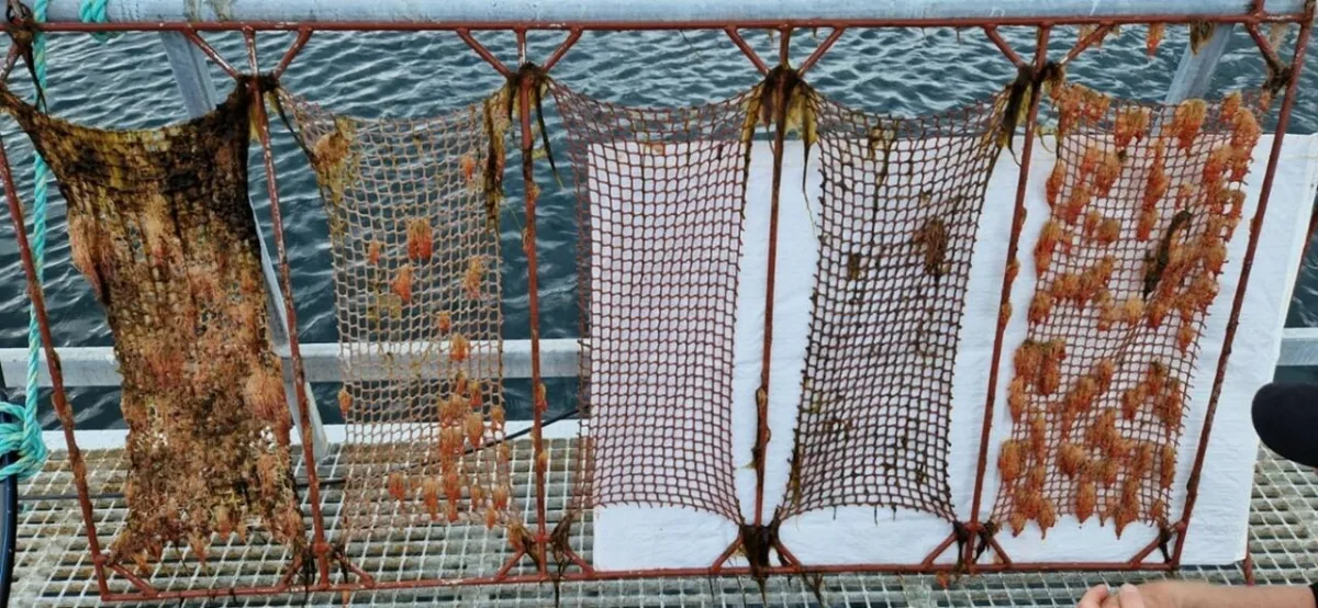AKVA group ASA - Agriculture products | Norway