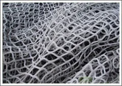 Snow Plastic Mesh Co. - Machinery & Equipment products | China