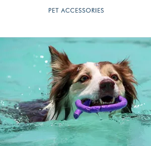 Skuxs Canada - Apparel & Textiles products | Canada