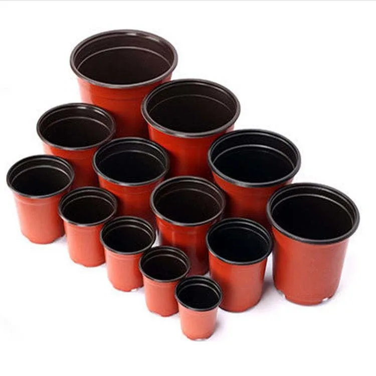 Wilson Garden Co., Ltd - Agriculture products | China