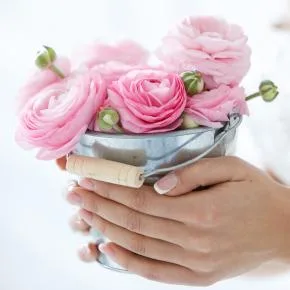 Flower Shop N5  - Gifts & Toys products | United States