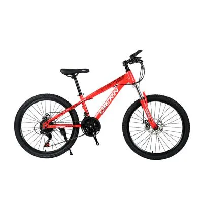 Tianjin Panda Technology Group Co., Ltd. - Sports & Leisure products | China