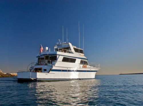 OC Yacht Rentals - Others & Miscellaneous products | United States