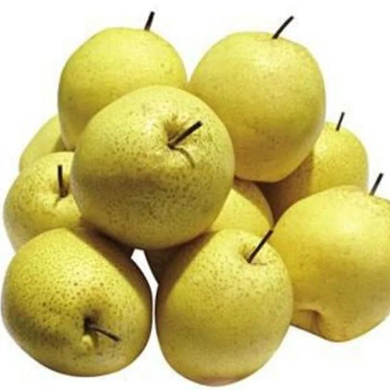 Shijiazhuang Guowang Fruits Sales - Agriculture products | China