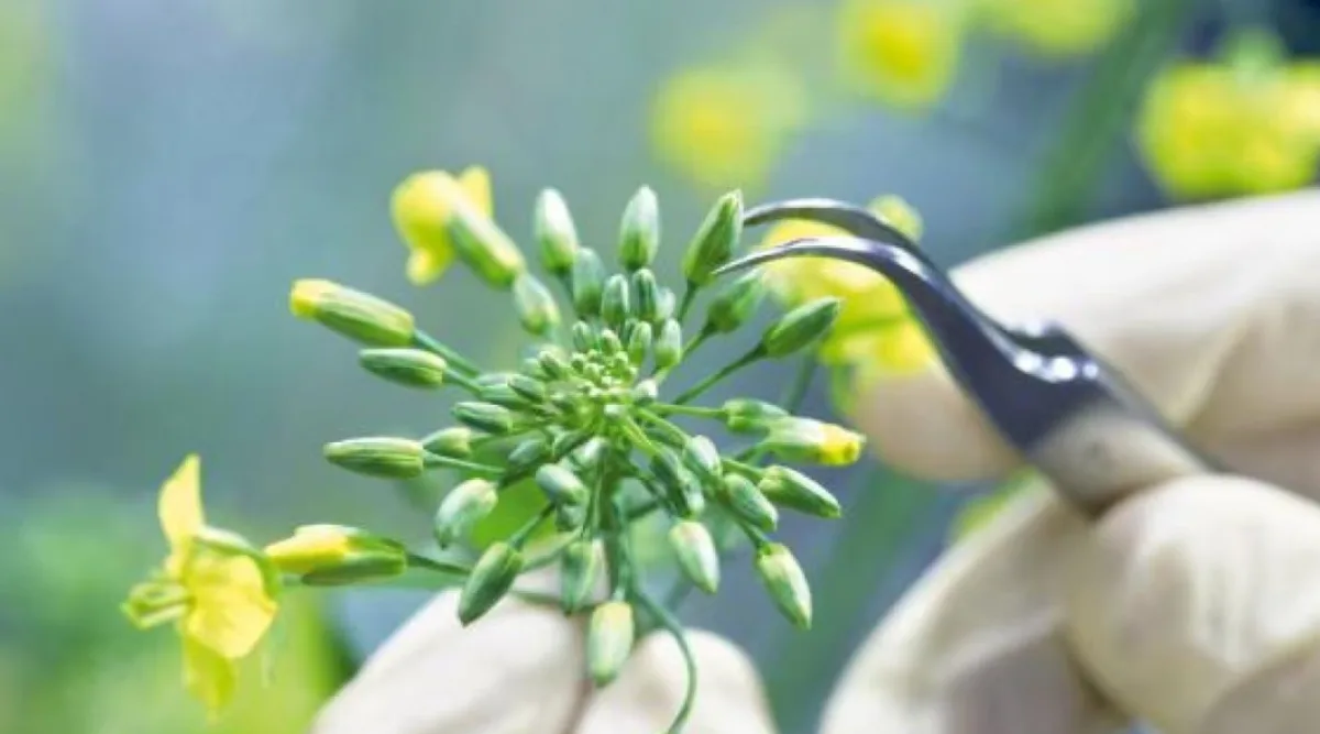 Bayer AG - Agriculture products | Germany