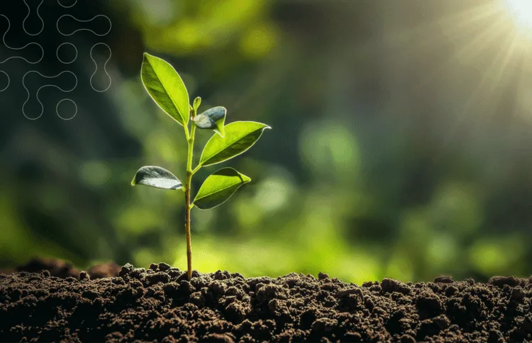 Biological Preparations - Chemicals products | United Kingdom