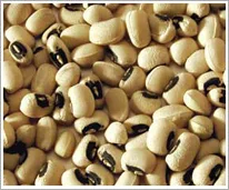 Strong International Trading Inc. - Agriculture products | Canada