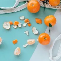 AlgarOrange - Agriculture products | Portugal