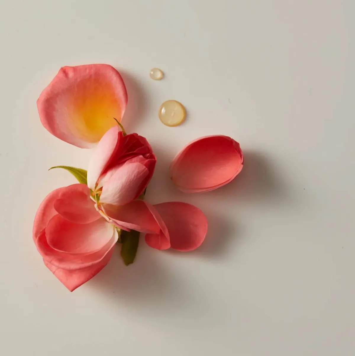 Kjaer Weis - Beauty & Cosmetics products | United States