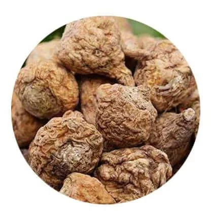 Shaanxi Youbio Technology Co., Ltd. - Foods & Beverages products | China