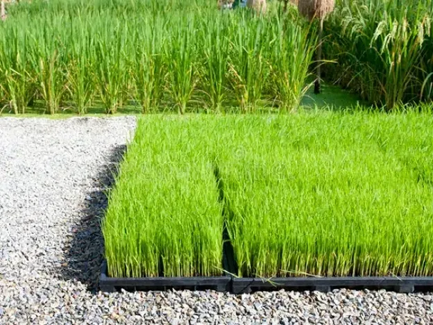 Hebei Marshine New Material Technology Co., Ltd. - Agriculture products | China