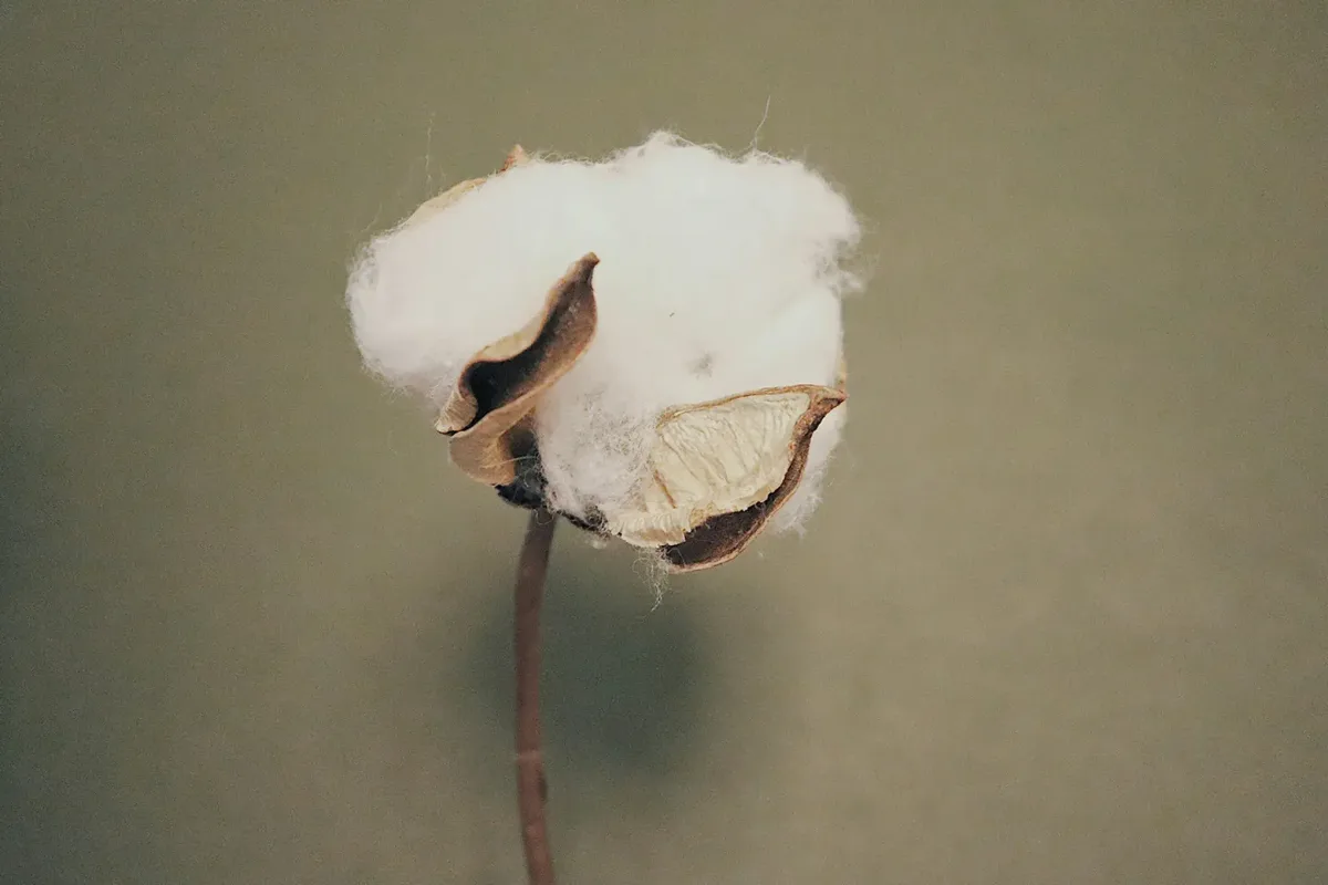 Kuyichi B.V. - Apparel & Textiles products | Netherlands