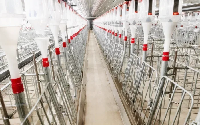 Little Giant Animal Husbandry Equipment Co., Ltd. - Agriculture products | China