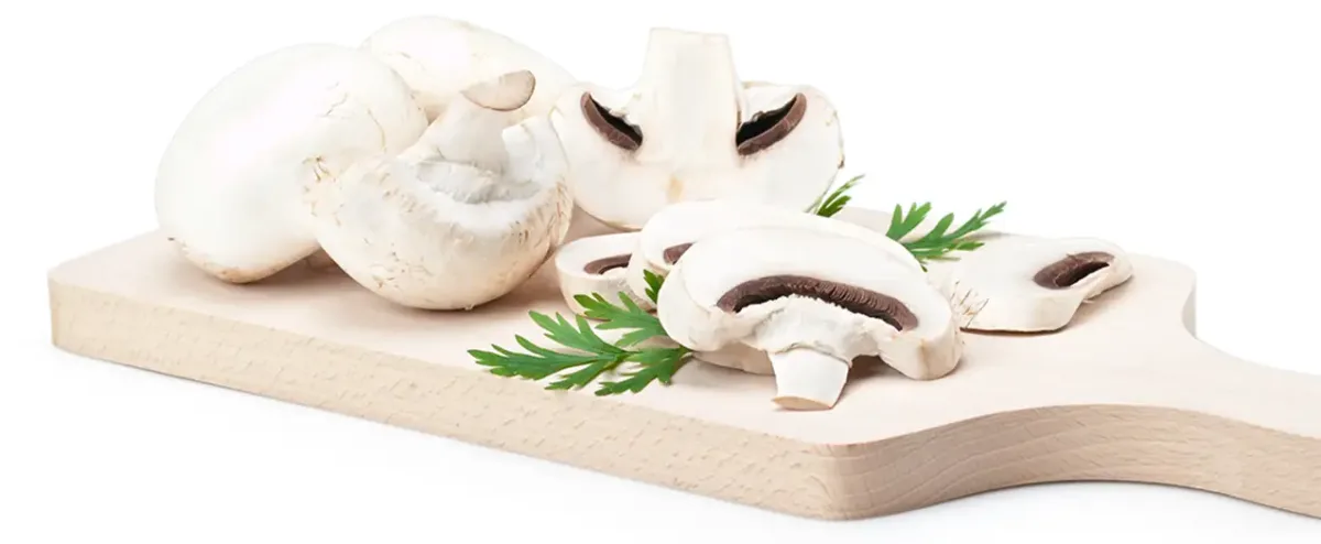 Farmers Fresh Mushrooms - Agriculture products | Canada