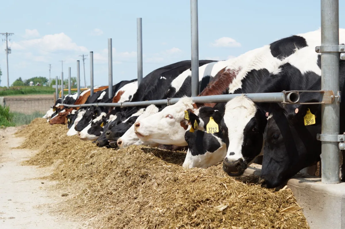 Midwestern BioAg - Agriculture products | United States