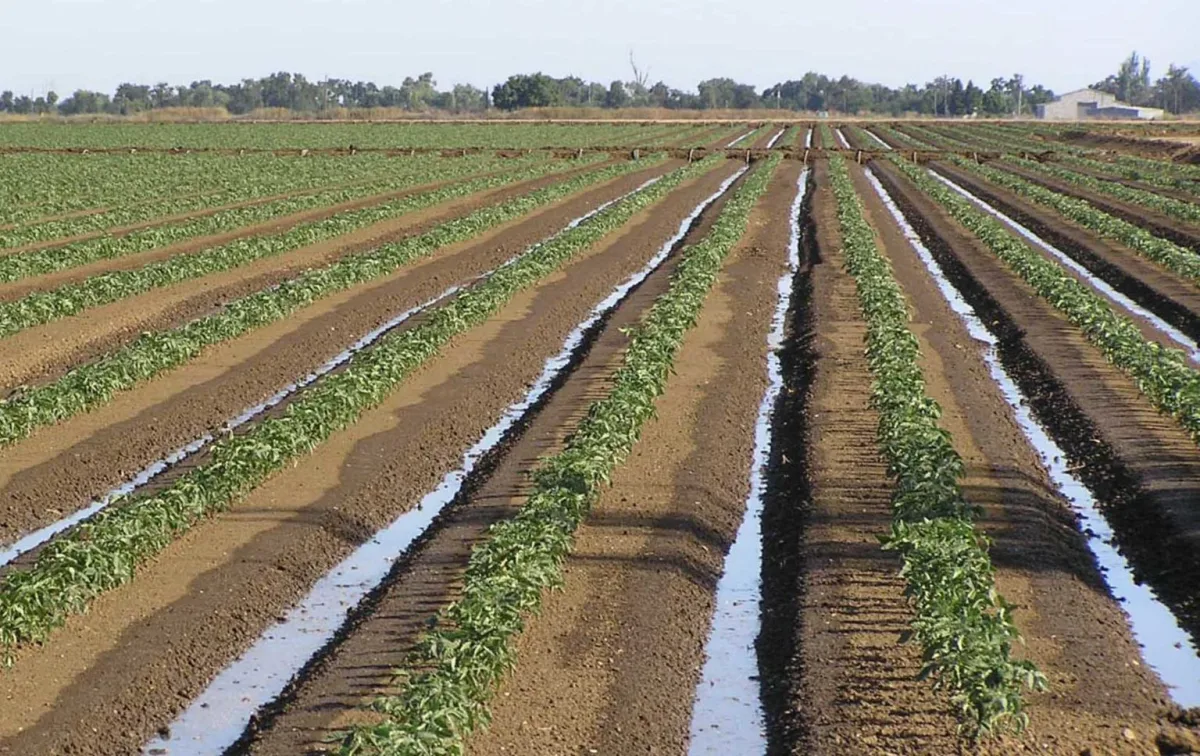 Apelsa Guadalajara, S.A. de C.V. - Agriculture products | Mexico