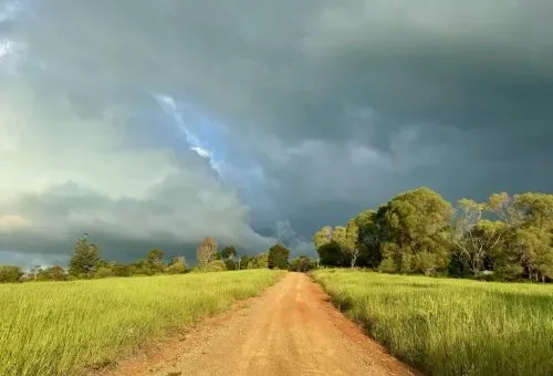 Best Farming Systems Pty Ltd - Agriculture products | Australia