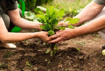 Modern Company for Fertilizer Production Ltd. - Agriculture products | Jordan