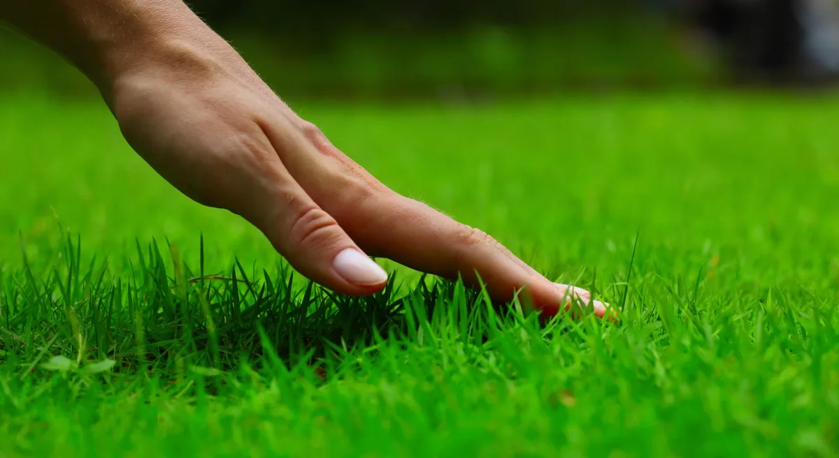 Agrifert S.r.l. - Agriculture products | Italy