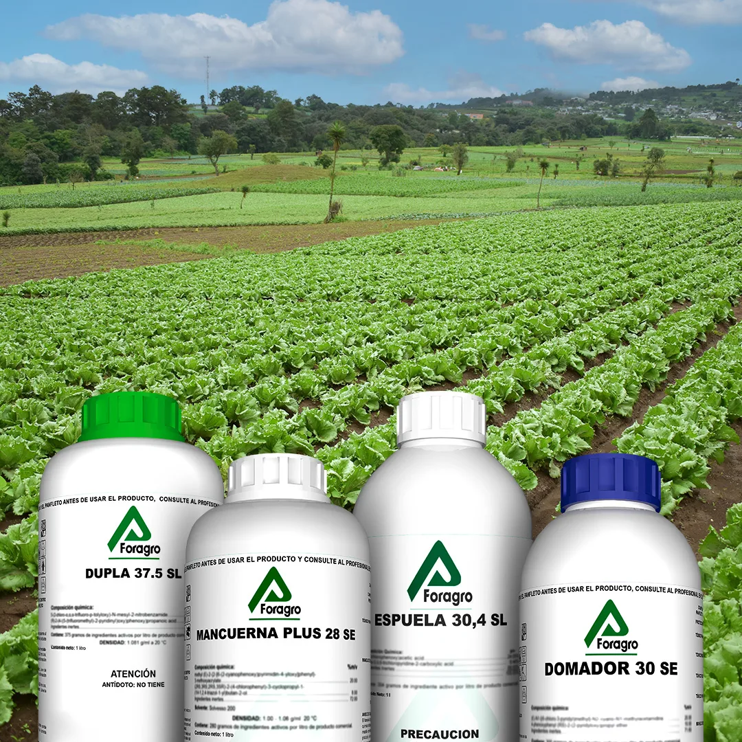Foragro Company - Agriculture products | Guatemala