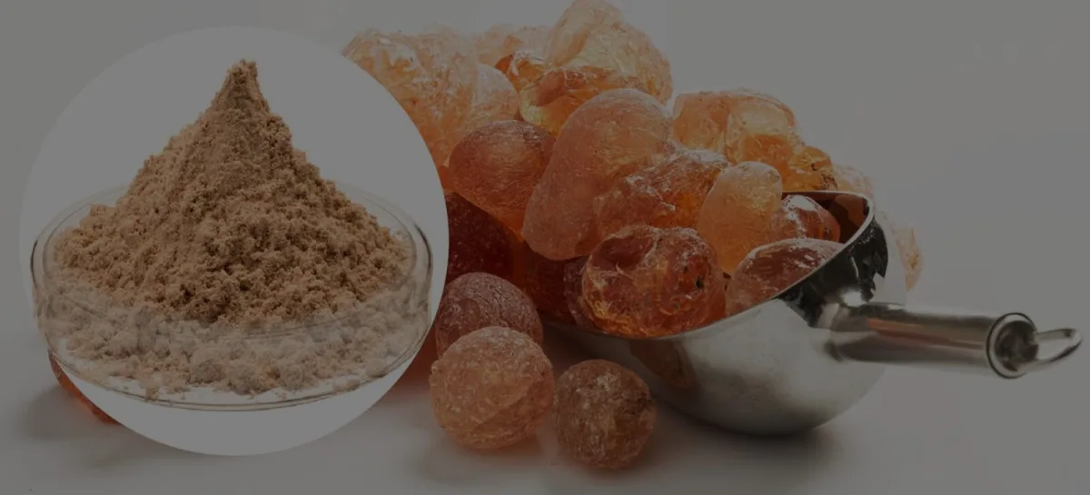 Kapadia Gum Industries Pvt. Ltd. - Foods & Beverages products | India