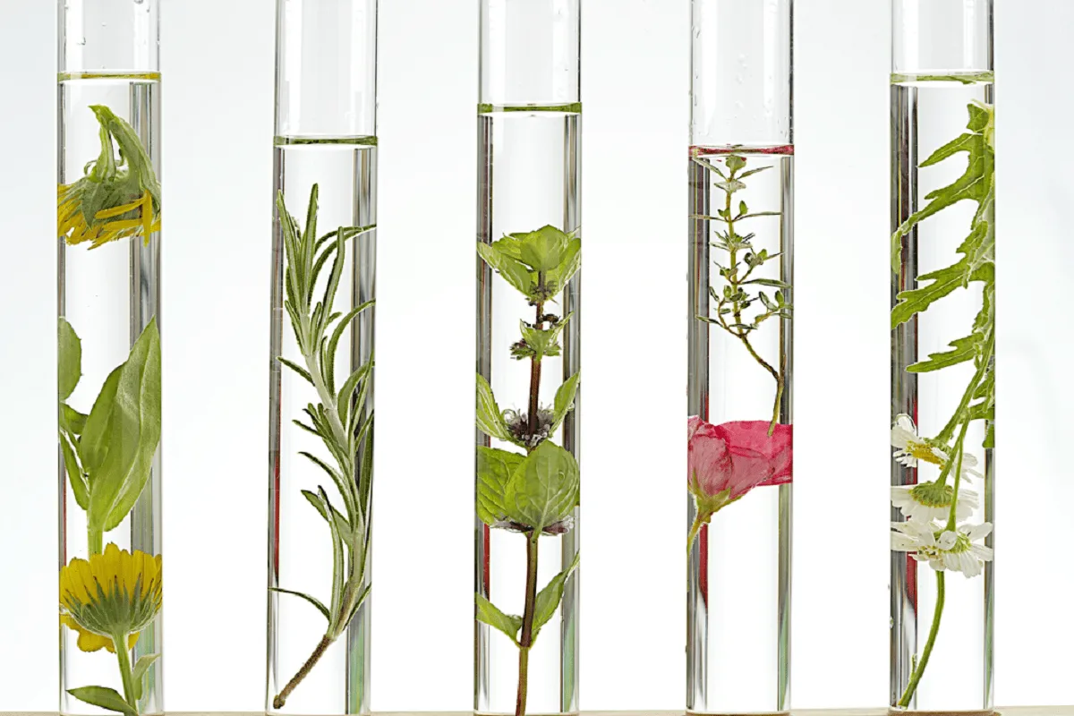New Laboratories - Beauty & Cosmetics products | Australia