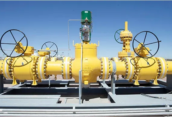 Compañía Mega S.A. - Energy & Minerals products | Argentina