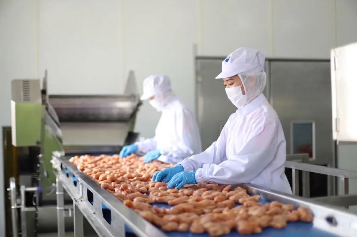 E Chan Foods Company Limited - Foods & Beverages products | Thailand