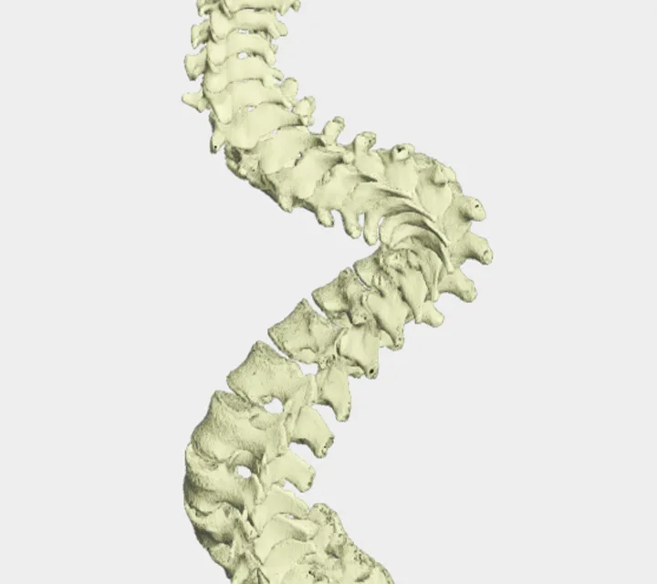 Shapeways - Services & Organizations products | Netherlands