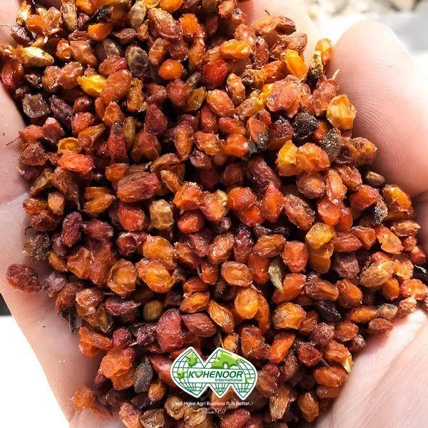Kohenoor International - Agriculture products | Pakistan